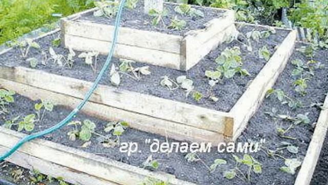 КАК УВЕЛИЧИТЬ УРОЖАЙ ЗЕМЛЯНИКИ смотреть онлайн