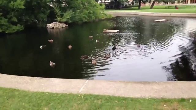 Burggarten Wien смотреть онлайн