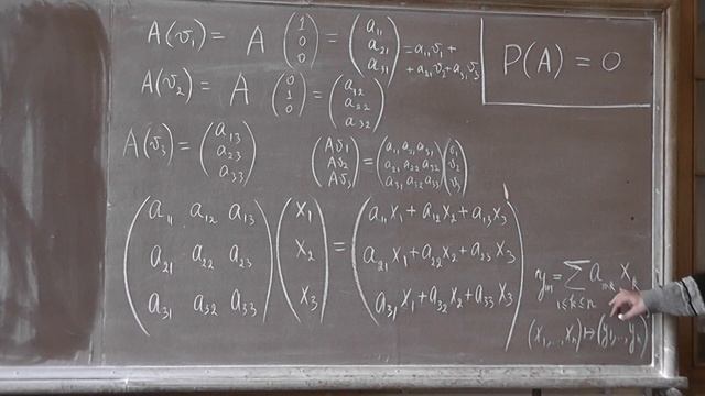 506 Два доказательства теоремы Гамильтона-Кэли смотреть онлайн