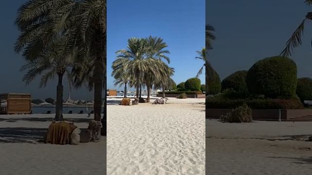 Какая красота в Abu Dhabi, Emirates Palace. Всем рекомендую.