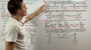 Номенклатура и классификация ферментов