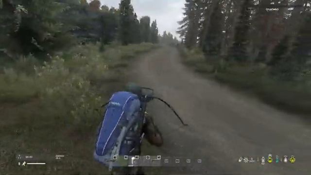 почему мы любим и ненавидим ванильный Dayz смотреть онлайн
