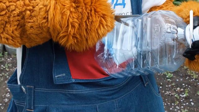 Ростовчанам показали, как вырастить овощи у себя на балконе