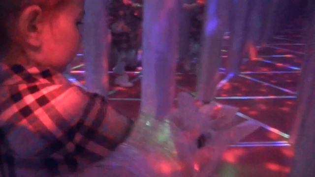 VLOG: Зеркальный лабиринт ♥ Пытаемся выбраться из зеркальной комнаты ♥ The Family ♥ #влог #vlog смотреть онлайн