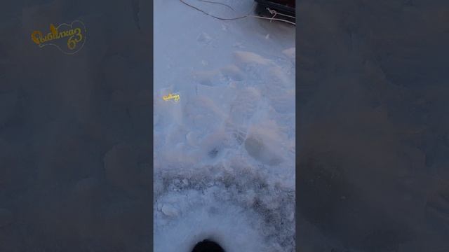 Судак зимой на VIB смотреть онлайн