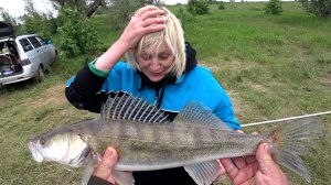 ловля судака на живца .