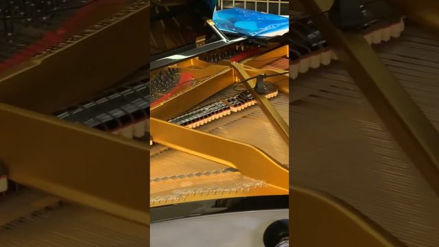 Колки, молоточки и струны рояля смотреть онлайн