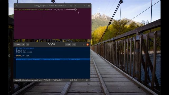 Passing arguments to blender through python or bash смотреть онлайн