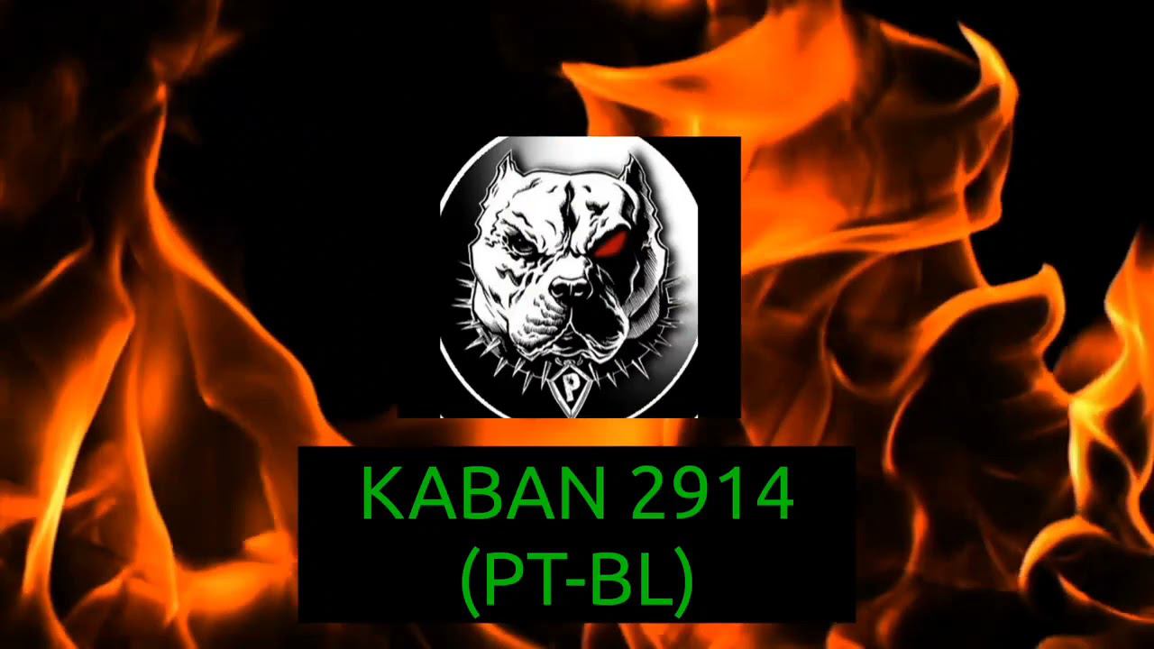 Type 5 Heavy супер клип.