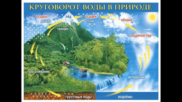 §22 "Единство гидросферы", География 6 класс, Домогацких смотреть онлайн