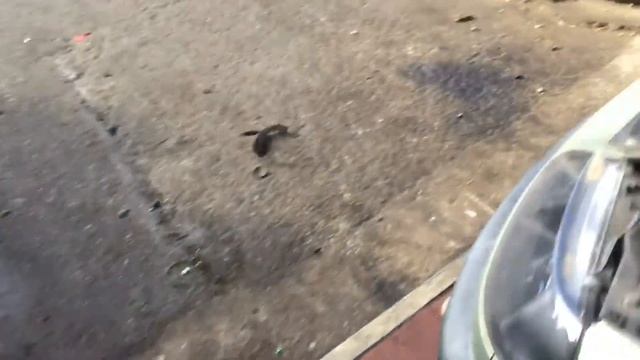 S 4428 ДВС (Двигатель) Renault Laguna 2.0i N7Q704 смотреть онлайн