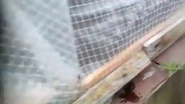 Парник-ларец своими руками. смотреть онлайн