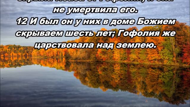 Тихое время с Живой Жизнью: 2 Паралипоменон 22:1–12 (30112018) смотреть онлайн