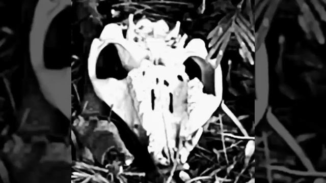 Inferno (Rooftop Solo) || From "The Crow" (Cover) смотреть онлайн