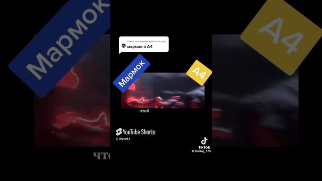 Я вас люблю мои котики