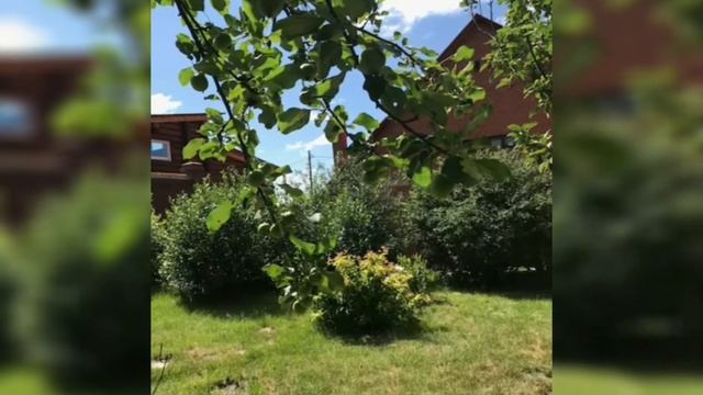 Дом на берегу озера Иткуль!!! смотреть онлайн