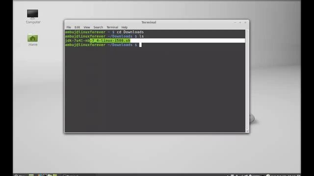 Install Oracle JDK 7 and Netbeans IDE 7.4 on Linux Mint / Ubuntu смотреть онлайн
