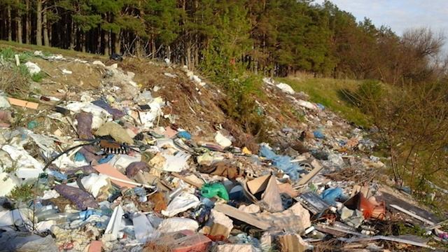 Как бороться с улитками в садах,полях,участках и теплицах? смотреть онлайн