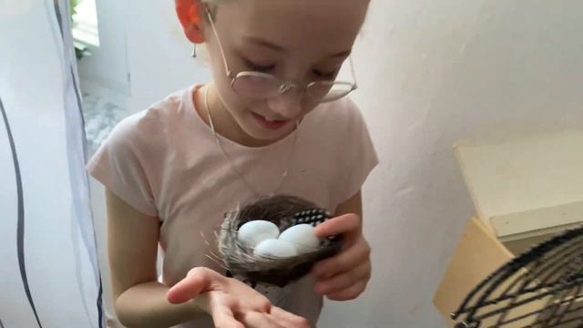 Долгожданные яички   волнистый Тоша и Кира