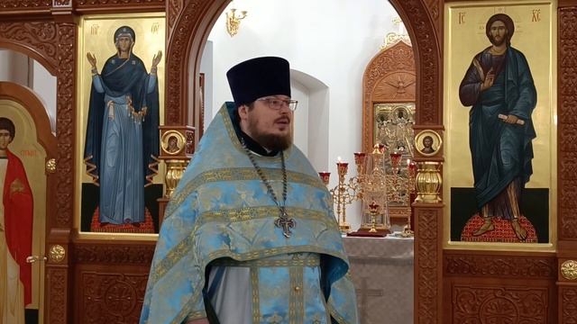 Проповедь протоиерея Сергия Третьякова в праздник Покрова Пресвятой Богородицы смотреть онлайн