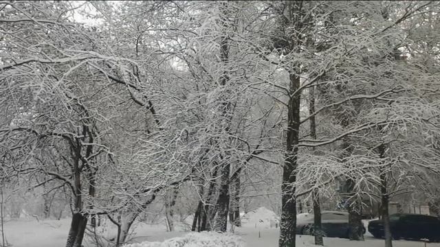 Только мы со псом по полю идём...
