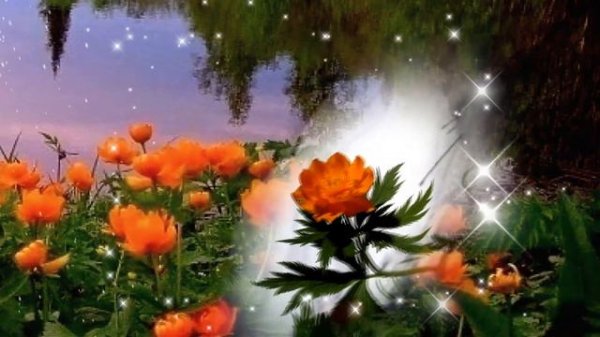 СЕВЕРНЫЕ РОЗЫ