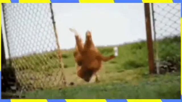Chicken Animation Song#remix#chicken Dance#dance For Kids#
