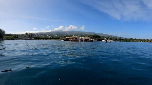 Jadranje potovanje okoli sveta - Tahiti #84 смотреть онлайн