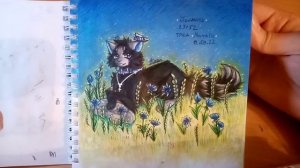 Обзор скетчбука №47/коты-воители/заказы/люди/мои персонажи.