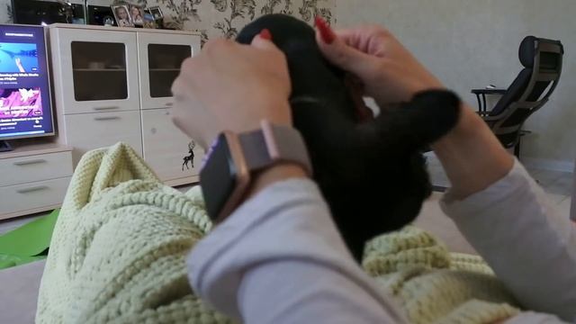 Вечерние занятия со Стамбуликом.