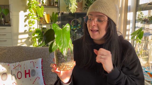 Imported plants updates! ✈️ 1 month, 4 month and 8 month plant updates 🪴 смотреть онлайн