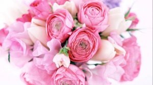 Красивые стихи маме на день рождения