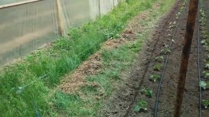 Как подключить и закрепить поливочный шланг ＂туман＂.Как подключить и закрепить поливочный шланг "тум