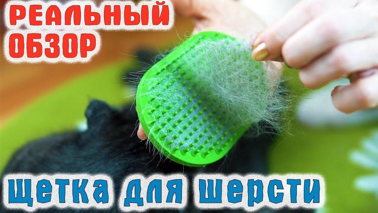 ЩЕТКА МАССАЖНАЯ ДЛЯ ШЕРСТИ ДОМАШНИХ ЖИВОТНЫХ | Как вычесать шерсть у кошки смотреть онлайн