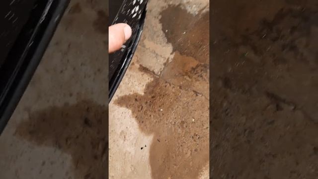 Весна в частном доме: секреты подготовки