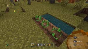 Как сделать картофель в майнкрафте? Зачем ядовитый картофель? Как посадить картофель в майнкрафте?