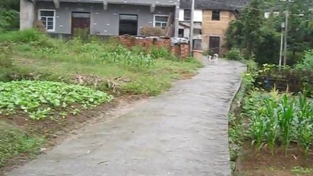 Fuyang, Hangzhou, Zhejiang China смотреть онлайн