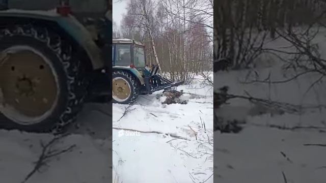 Корчеватель КГЧ-1,2 в работе на тракторе МТЗ-82 производитель ООО НПО Леспромресурс смотреть онлайн