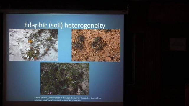 Plant explorations across bio-geographic regions of South Africa смотреть онлайн