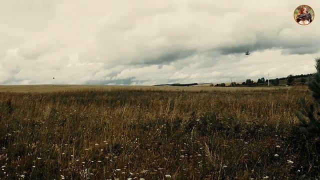 Как охотиться на куропатку со спаниелем? смотреть онлайн