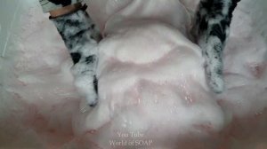 ASMR/Размокшее мыло с губками/Густая пена