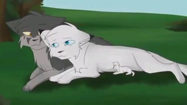 Коты-воители-имя 505 смотреть онлайн