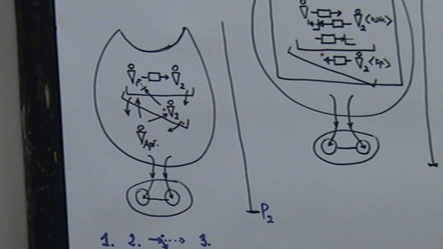 Новый шаг в логике ВАК Необходимость ухода в коммуникацию 2008 смотреть онлайн