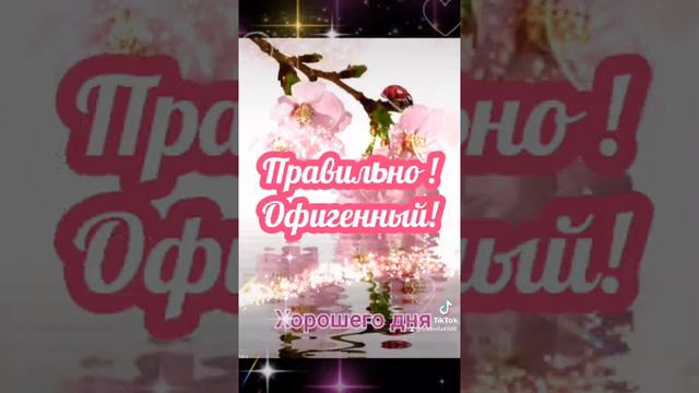 С добрым утром! С новым днём! Счастья и радости в нём ! ☕🌞❤❤🌹👍 смотреть онлайн