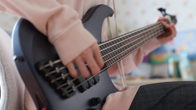 WAKE UP HATE - I Just Don't Love You Anymore | Bass Cover