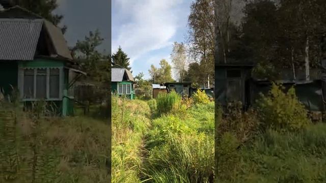 Дача смотреть онлайн