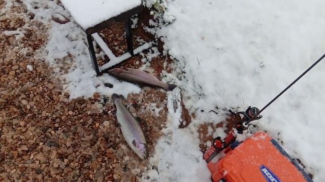 Поимки. РЫБАЛКА В ДУРЫКИНО смотреть онлайн