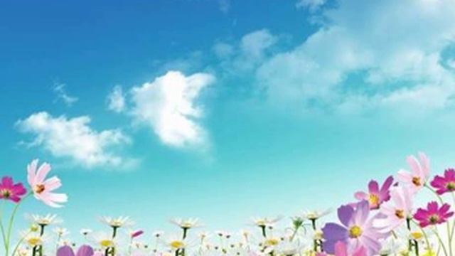 Sahbha karaam (radia tala anhu) k fehem ki ahmiyat (Short clip) by ustad murtaza baksh смотреть онлайн