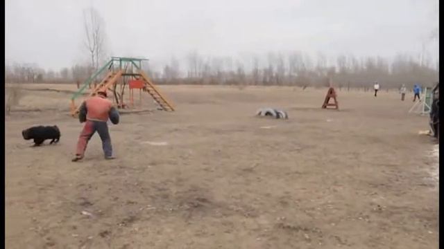 Русский ринг и Большой ринг