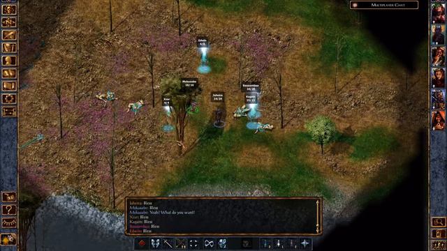 Baldur's Gate: Enhanced Edition - Bless / Co-op смотреть онлайн